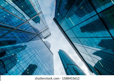 Skyscrapers in downtown area, bottom view, blue tones