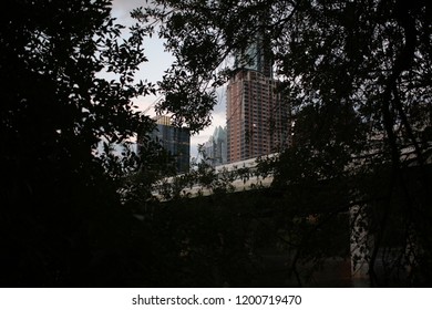 Skyscrapers Near Auditorium Shores 