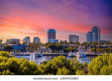 skyscrapers, office buildings and hotels in the city skyline with boats and yachts docked on the blue ocean water in the harbor with lush green trees and plants at sunset in Long Beach California USA