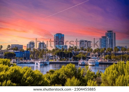 skyscrapers, office buildings and hotels in the city skyline with boats and yachts docked on the blue ocean water in the harbor with lush green trees and plants at sunset in Long Beach California USA
