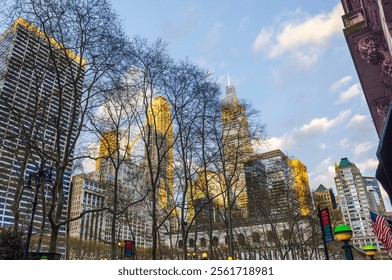 Skyscrapers towering above leafless trees in New York City at sunset, with golden sunlight reflecting off glass facades. - Powered by Shutterstock