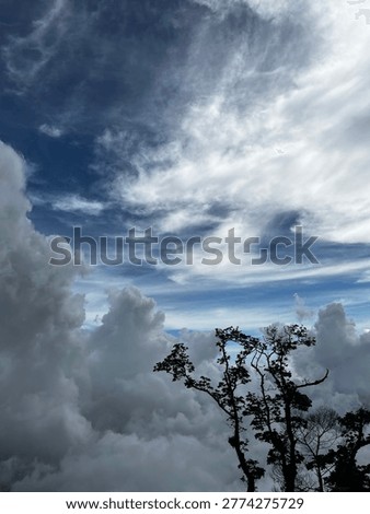 skyview with trees on the side 