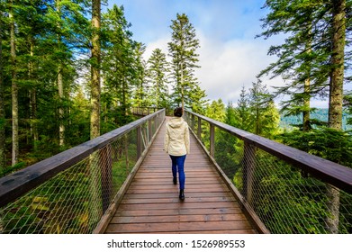 Skywalk in Black Forest - Treetop walk with 40m high Lookout tower located at Sommerberg, Bad Wildbad - Travel destination in Germany - Powered by Shutterstock