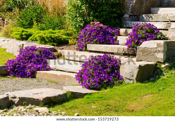 Slab Stone Steps Purple Flowers Stock Photo Edit Now