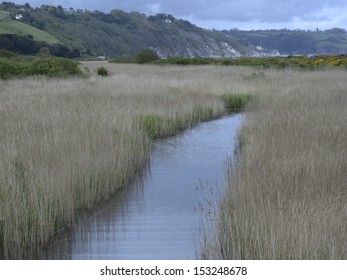 Slapton Ley Devon