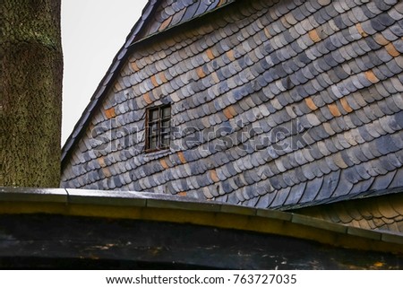 Similar – Image, Stock Photo even slower Moss Lichen