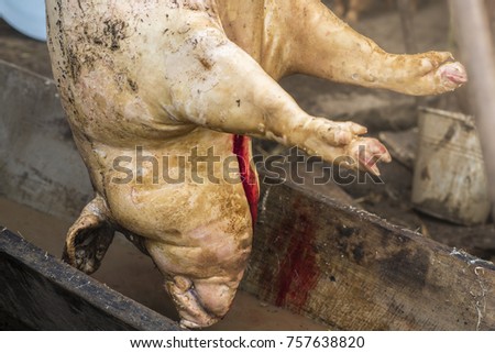 Image result for slaughtered pig on hook