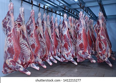 At The Slaughterhouse. Carcasses, Raw Meat Beef, Hooked In The Freezer