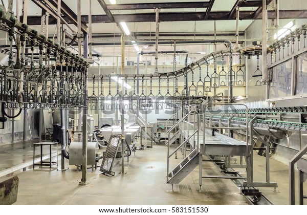 Slaughterhouse poultry factory. Poultry\
processing plant line. Production of chicken\
meat.