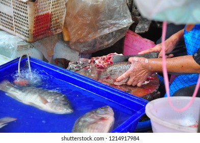 Slaughtering Tilapia fish in Thai local market in Bangkok.Those fish on the blue tank were just waiting for the next customer.