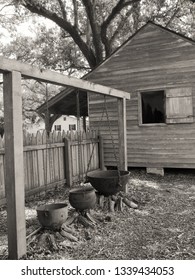 Slave farm in New Orleans