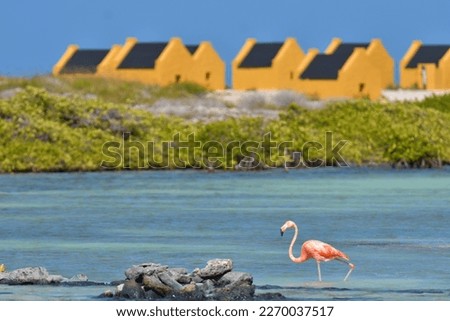 The slave huts and a flamingo on the Caribbean island of Bonaire
