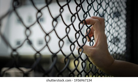 Slavery trade and trafficking victim concept of woman prisoner in jail being tortured, punished or abused in violation with hand holding cage wire mesh