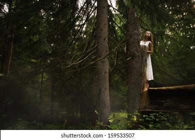 Slavonian Girl Traditional Suit Deep Forest Stock Photo 159533507 ...