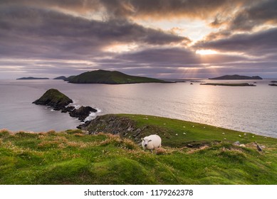 Slea Head Sunset