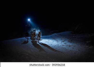 Sled Dog Race In The Night