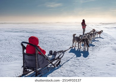 Sled dog-racing with Alaskan malamute and husky dogs. Snow, winter, competition, race concept. Husky dog sledding in winter Baikal, Siberia.