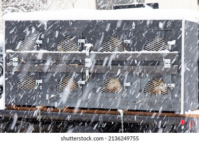 Sled Dogs In Cage On Truck Before Iditarod Race With Heavy Falling Snow