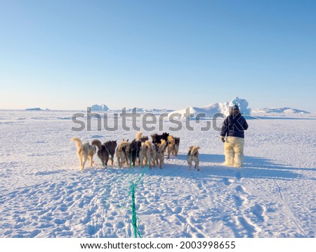 Sled dogs are guided through difficult terrain. Inuit hunter wearing traditional trousers and boots made from polar bear fur on the sea ice of the Melville Bay near Kullorsuaq in North Greenland.