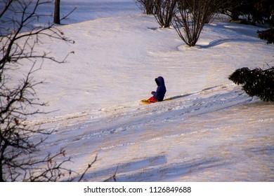 Sledding Glen Ellyn