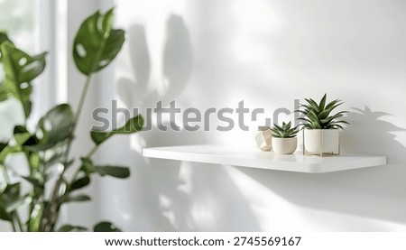 A sleek white floating shelf is prominently displayed