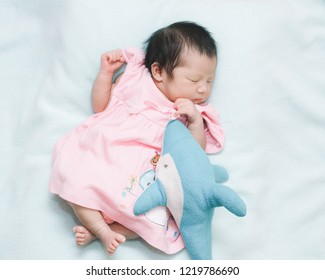 Sleep with dolphin