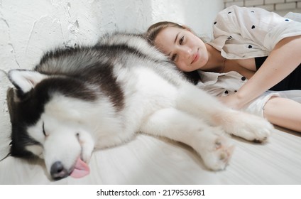 Sleeping Alaskan Malamute Big Dog And Young Woman Lying On Floor. Beautiful Girl Love Pet. Portrait Of Female Owner And Adorable Malamute Happy Close Friend, Together Have Fun At Home In Bedchamber.