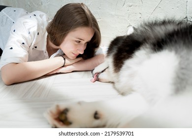 Sleeping Alaskan Malamute Big Dog And Young Woman Lying On Floor. Beautiful Girl Love Pet. Portrait Of Female Owner And Adorable Malamute Happy Close Friend, Together Have Fun At Home In Bedchamber.