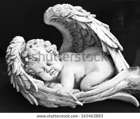 Sleeping angel 