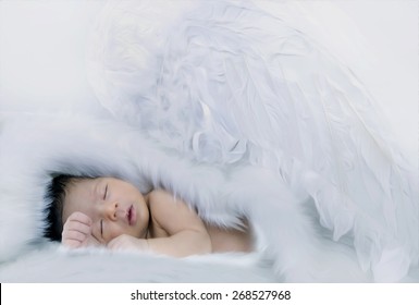 天使 羽根 かわいい の写真素材 画像 写真 Shutterstock