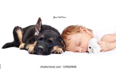 Sleeping Baby Boy With Toy Dog And Puppy.