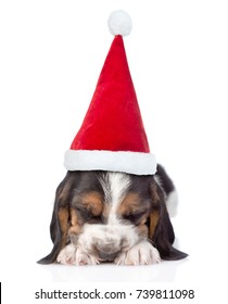 Sleeping basset hound puppy in red santa hat. isolated on white background