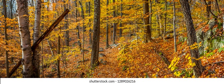 Sleeping Beauty Mountain Lake George Adirondacks Upstate New York Panoramic