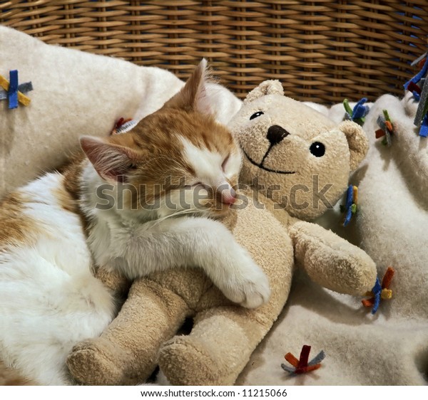 sleeping cat doll