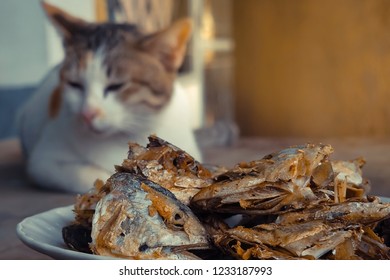 fried cats