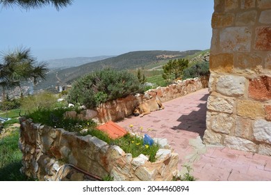 Sleeping Dog Outside  With Mountains In Background