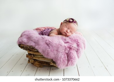 Sleeping newborn baby in a basket - Powered by Shutterstock