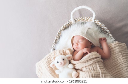 Sleeping newborn baby in basket wrapped in blanket in white fur background. Portrait of new born child one week old with little cute soft toys.