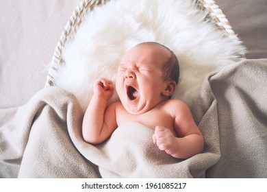 Sleeping newborn baby in basket wrapped in blanket in white fur background. Portrait of new born child one week old.