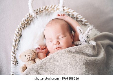 Sleeping newborn baby in basket wrapped in blanket in white fur background. Portrait of new born child one week old with little cute soft toys.