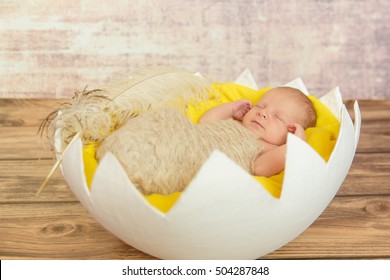 baby egg