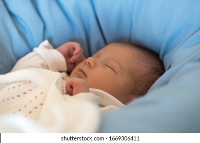0 12 Month High Res Stock Images Shutterstock 0 12 Month High Res Stock Images Shutterstock