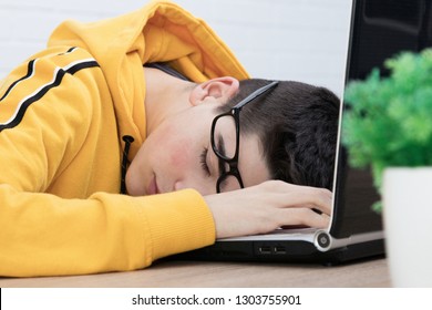 sleeping on the computer keyboard