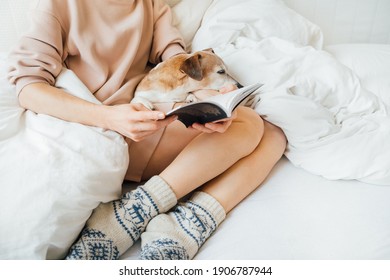 Sleeping relaxed mood. reading at home in bed with pet. Enjoying relaxed time weekend with book in comfort cozy atmosphere. Woman with slim beautiful legs having rest at home .  - Powered by Shutterstock