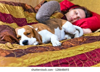 The Sleeping Woman And Its Dog , Focus On A Dog.