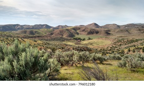 Sleepy Farm Outside Boise Idaho On A Summer Day