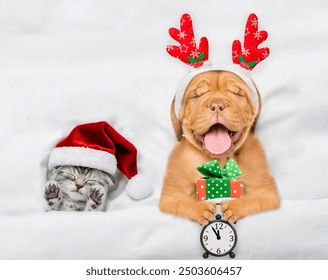 Sleepy mastiff puppy dressed like santa claus reindeer  Rudolf holding gift box and alarm clock and lying with cozy kitten under white blanket at home. Top down view. - Powered by Shutterstock