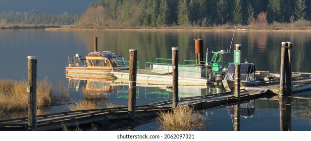 
Sleepy Morning At Pitt River Docks					