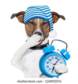sleepyhead dog tired with clock and funny nightcap