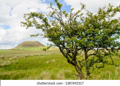 Slemish Mountain/Hill, County Antrim, Northern Ireland, a plug of dolerite rock at the site of an extinct volcano.